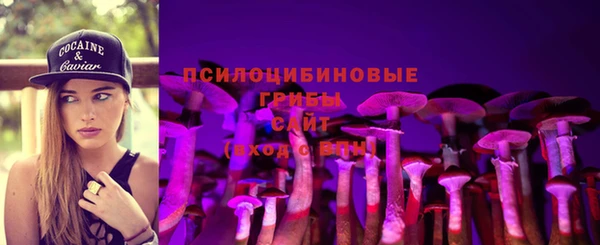 хмурый Железноводск