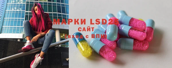 ешки Новозыбков
