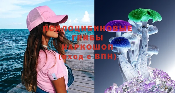 СК Новокубанск